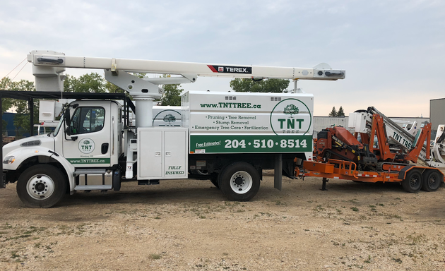 Photo of TNT Tree Service Ltd.