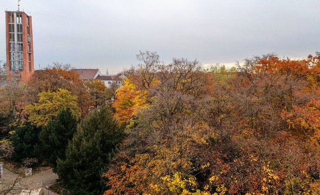 Foto von Hartmann Matthias Heilpraktiker für Psychotherapie, Beratung, Behandlung, Prävention von Erschöpfung, Burnout und Depression für Betroffene und Angehörige, München