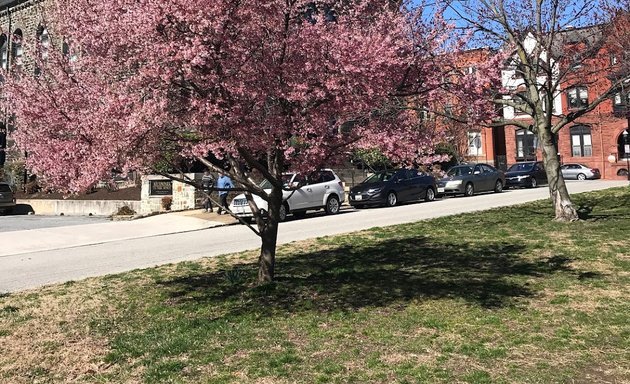 Photo of Park Avenue Median Park