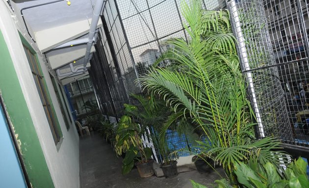 Photo of mrr Rehabilitation Centre