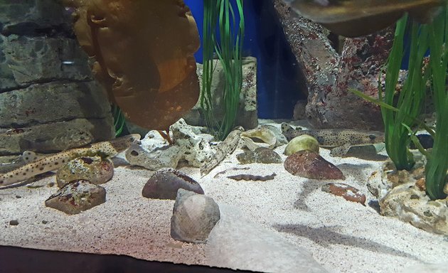 Photo of Bristol Aquarium