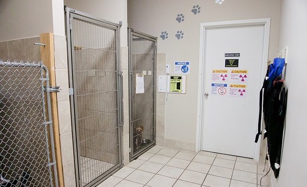 Photo of Toronto Central Animal Clinic