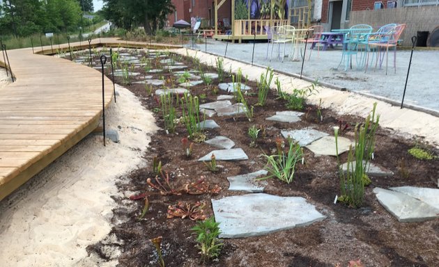 Photo of Longleaf Pine Garden