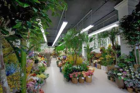 Photo of Center of Floral Design