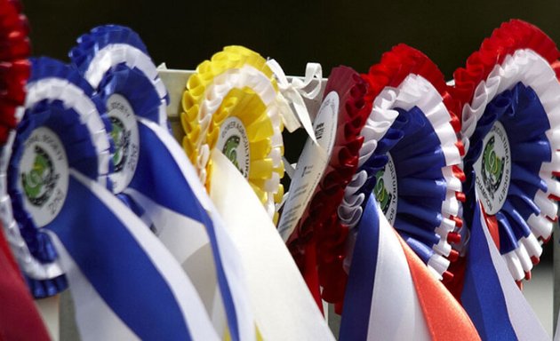 Photo of Old Bexley Equestrian Centre