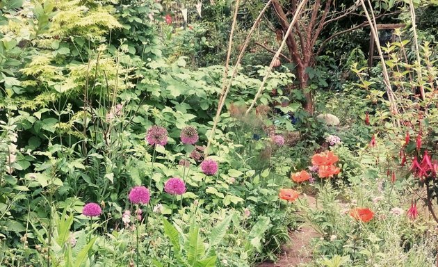 Photo of Sweet Williams Gardens