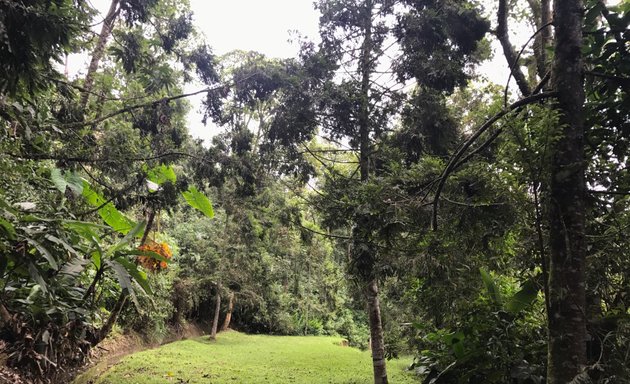 Foto de Ecoparque Los Alcazares Arenillo