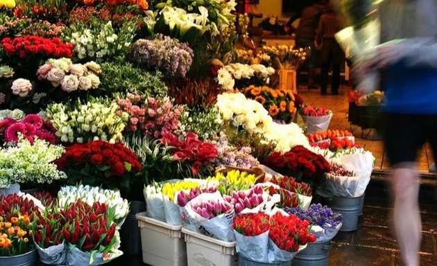 Photo of Fleurs Algerie