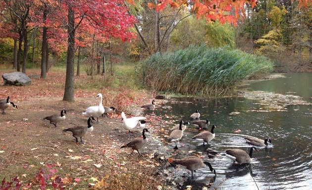 Photo of Oakland Lake