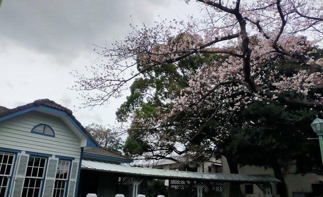 写真 山手公園テニスコート（市営）