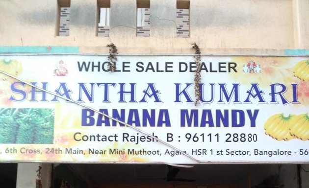 Photo of Shantha Kumari Banana Mandi