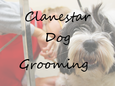 Photo of Clanestar Dog Grooming