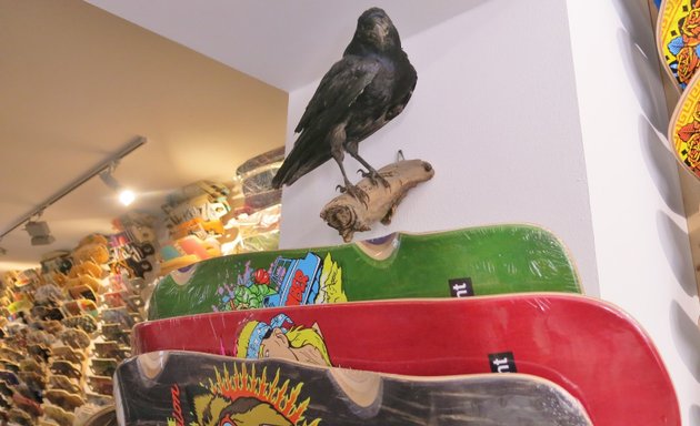 Foto von Concretewave Skateshop Cologne