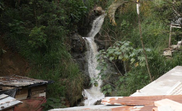 Foto de Fundación Mano Amiga por Medellín