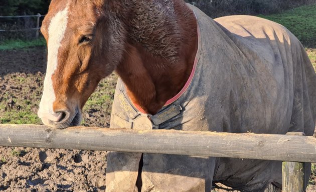 Photo of Bury Farm