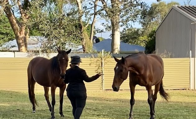 Photo of EquiTune - Equine Assisted Therapy. NDIS, Bitless Riding