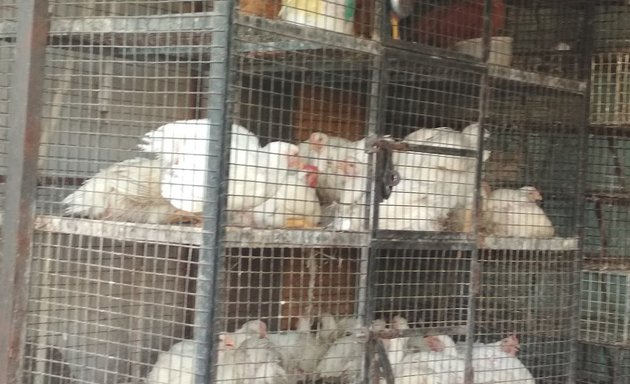 Photo of bismilla Tawakal Chicken Center