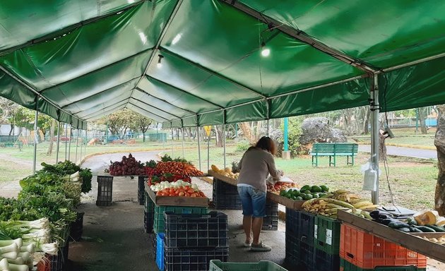 Foto de Feria Agrícola Parque Las Rocas