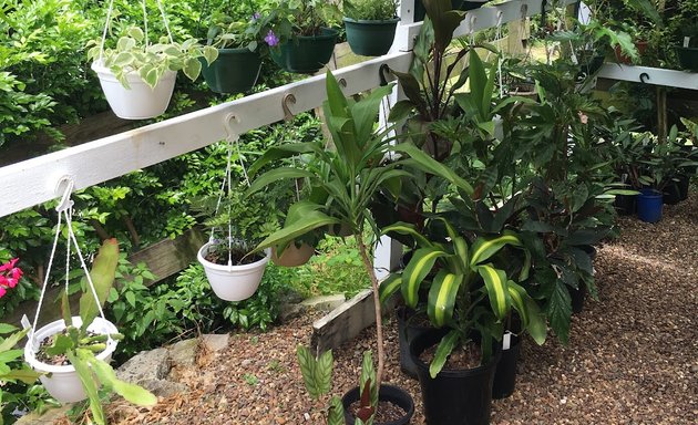 Photo of Oasis Plant Nursery
