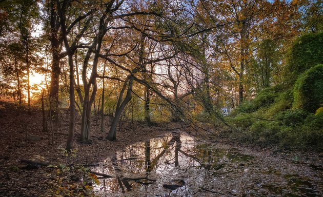 Photo of Brady's Pond Park