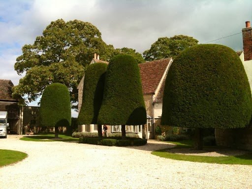 Photo of R. Timms Tree Surgery & Shrub Care