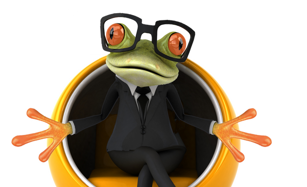 Photo de Frog Agency