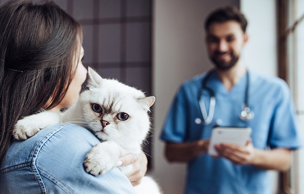 Foto von TVM Tiergesundheit GmbH