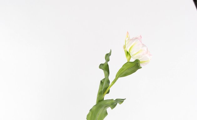 Photo of Lifelike Flowers