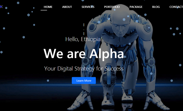 Photo of Alpha IT Solution
