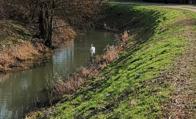 Foto von Spielplatz am Wuhlebecken