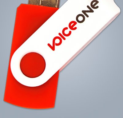 Photo of Voice One