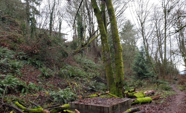 Photo of College Street Ravine