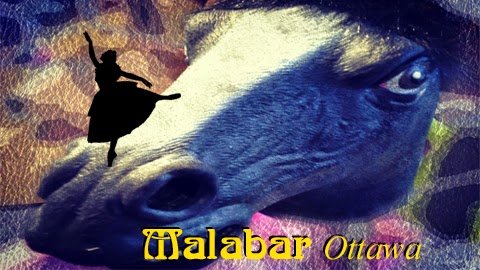 Photo of Malabar Limited