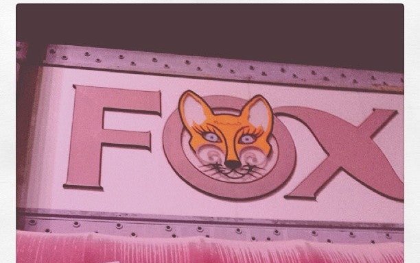 Photo of Fox Embroidery