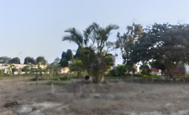 Foto de Parque Circular (Palmera)