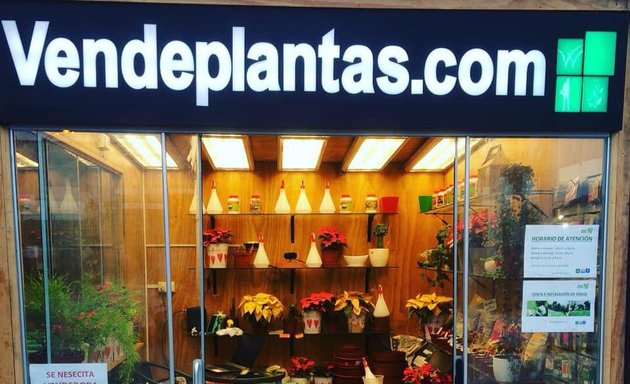 Foto de Vende plantas