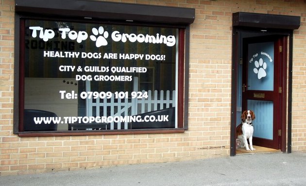 Photo of Tip Top Dog Grooming