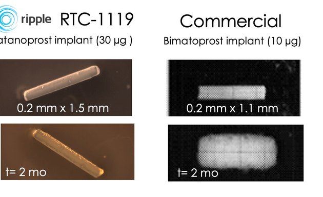 Photo of Ripple Therapeutics