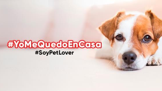 Foto de Petlover