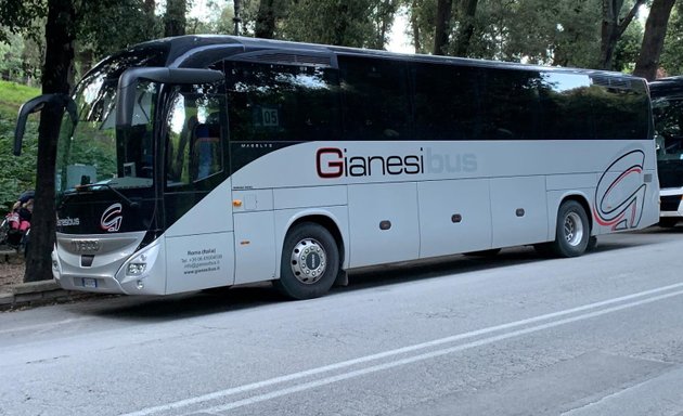 foto Gianesi Bus & Limousine Service