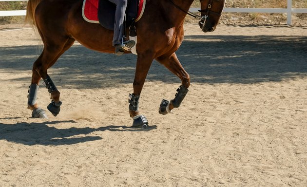 Photo of Golden Glen Stables