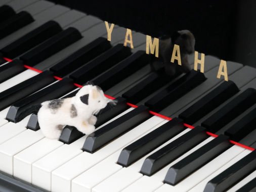 Foto von Klavierunterricht Keiko "my little pianist"
