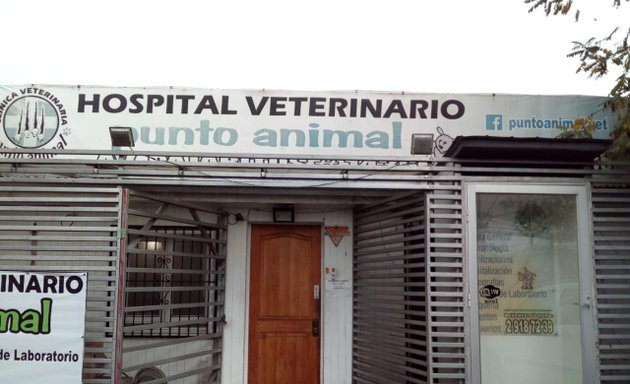 Foto de Clínica Veterinaria Punto Animal