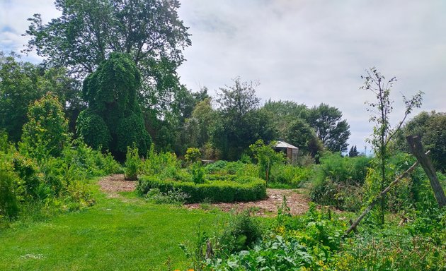 Photo of Richmond Community Garden
