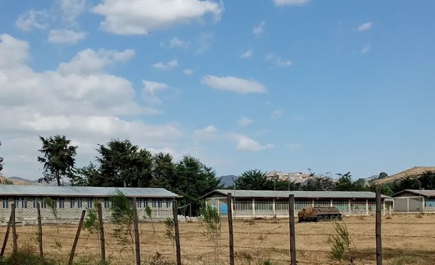 Photo of Meserete Ethiopia Elementary School