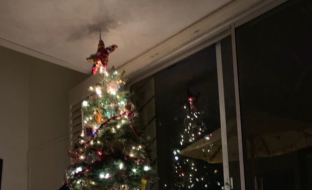 Photo of Mr. Jingles Christmas Trees