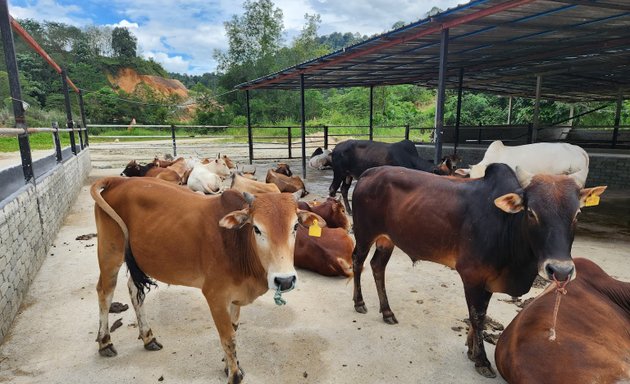 Photo of Mazroah Farm @ Hulu Langat
