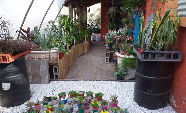 Foto de Vivero bar Deco Garden
