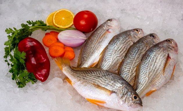 Foto de PESCADERIA QUITO venta de pescados y mariscos