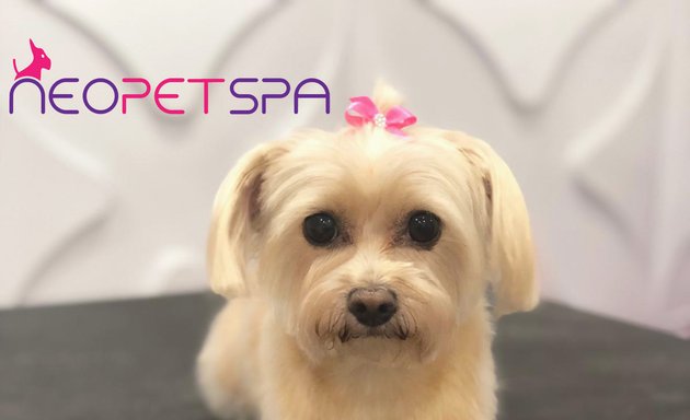 Photo of Neo Pet Spa - Cat & Dog Grooming